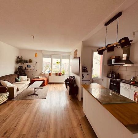 Pfastatt Bel Appartement Proche Mulhouse מראה חיצוני תמונה