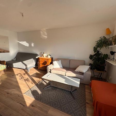 Pfastatt Bel Appartement Proche Mulhouse מראה חיצוני תמונה