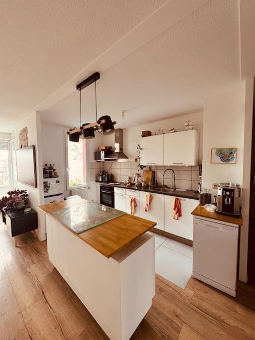 Pfastatt Bel Appartement Proche Mulhouse מראה חיצוני תמונה