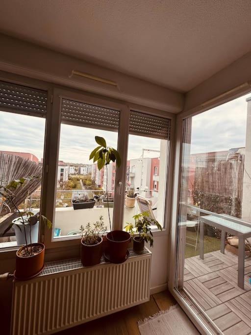 Pfastatt Bel Appartement Proche Mulhouse מראה חיצוני תמונה